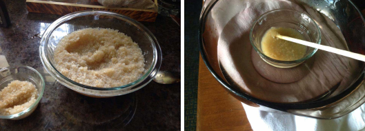 Left: rabbit hide glue after soaking. Right: rabbit hide glue being heated. Photo by Lady Angela Mori.